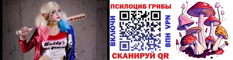 купить наркоту  Островной  Галлюциногенные грибы Magic Shrooms 
