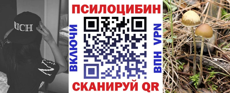 Псилоцибиновые грибы Cubensis Островной